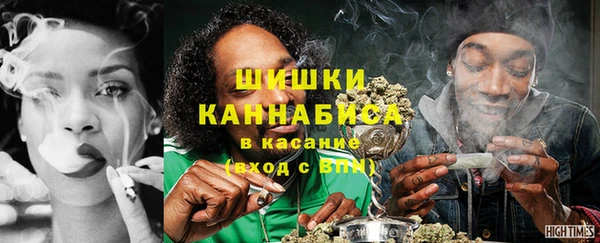 шишки Баксан