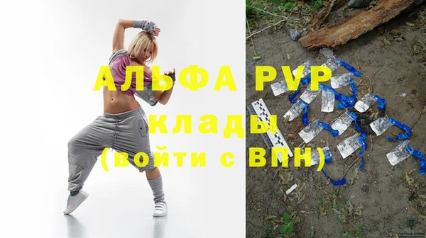 шишки Баксан