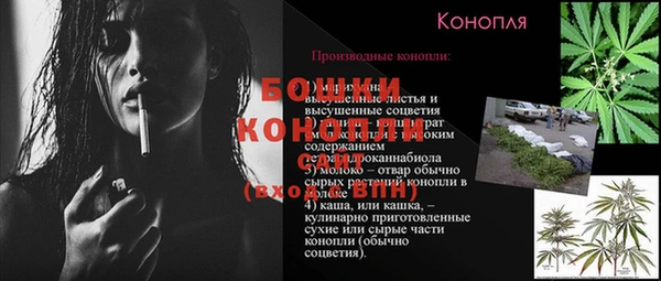 шишки Баксан